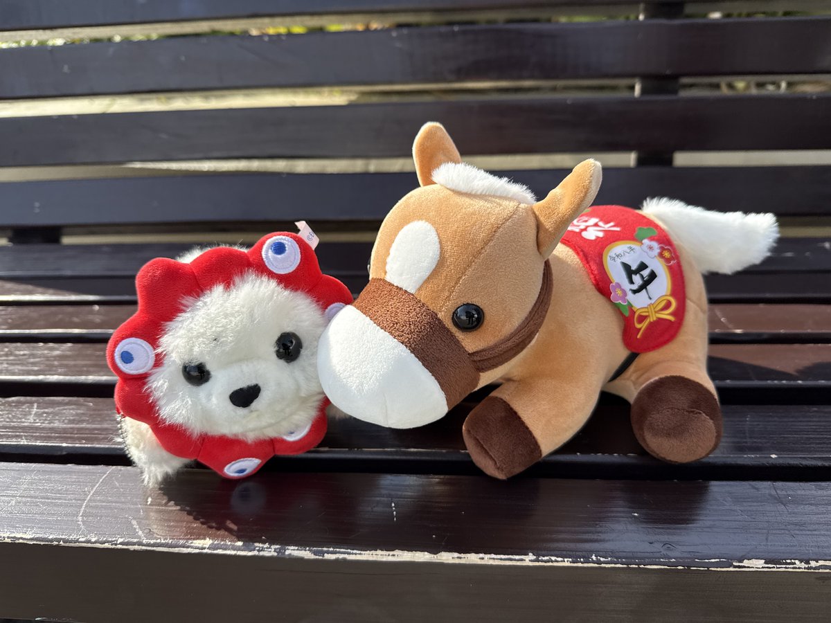毎年恒例の年賀状を頂きに天王寺動物園へ✨ ぬいぐるみくじに新しくお