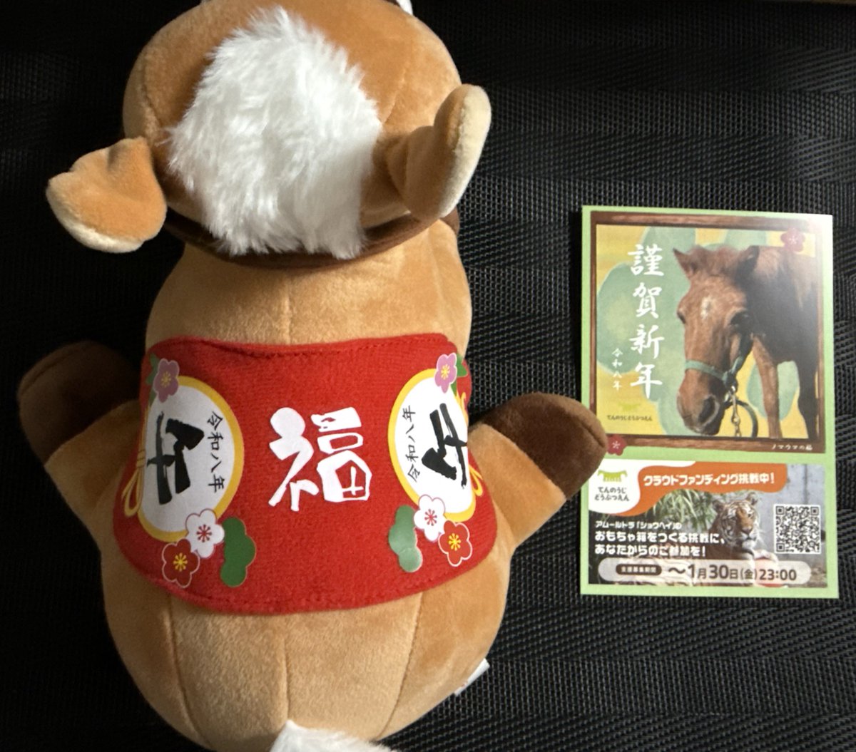 毎年恒例の年賀状を頂きに天王寺動物園へ✨ ぬいぐるみくじに新しくお