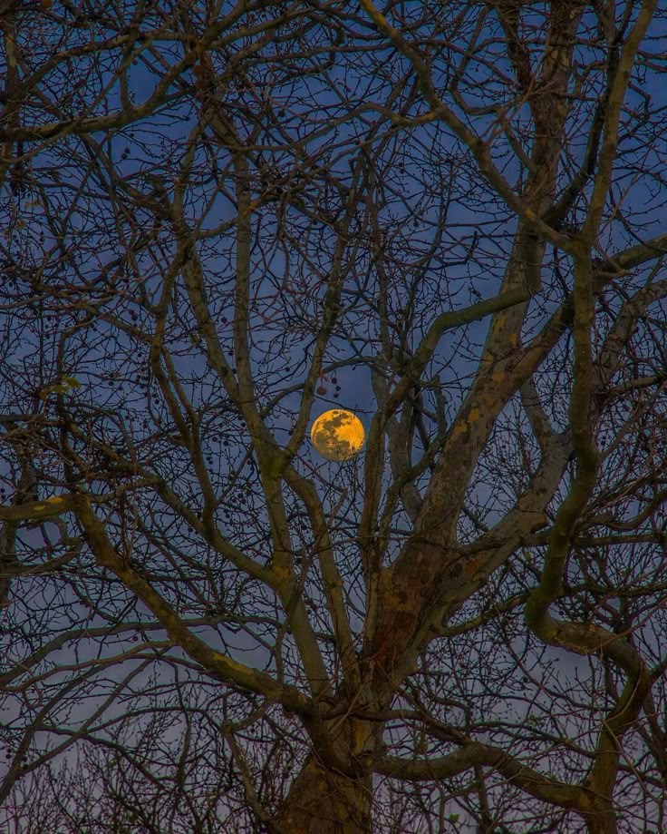 sorrrowfull's tweet image. 