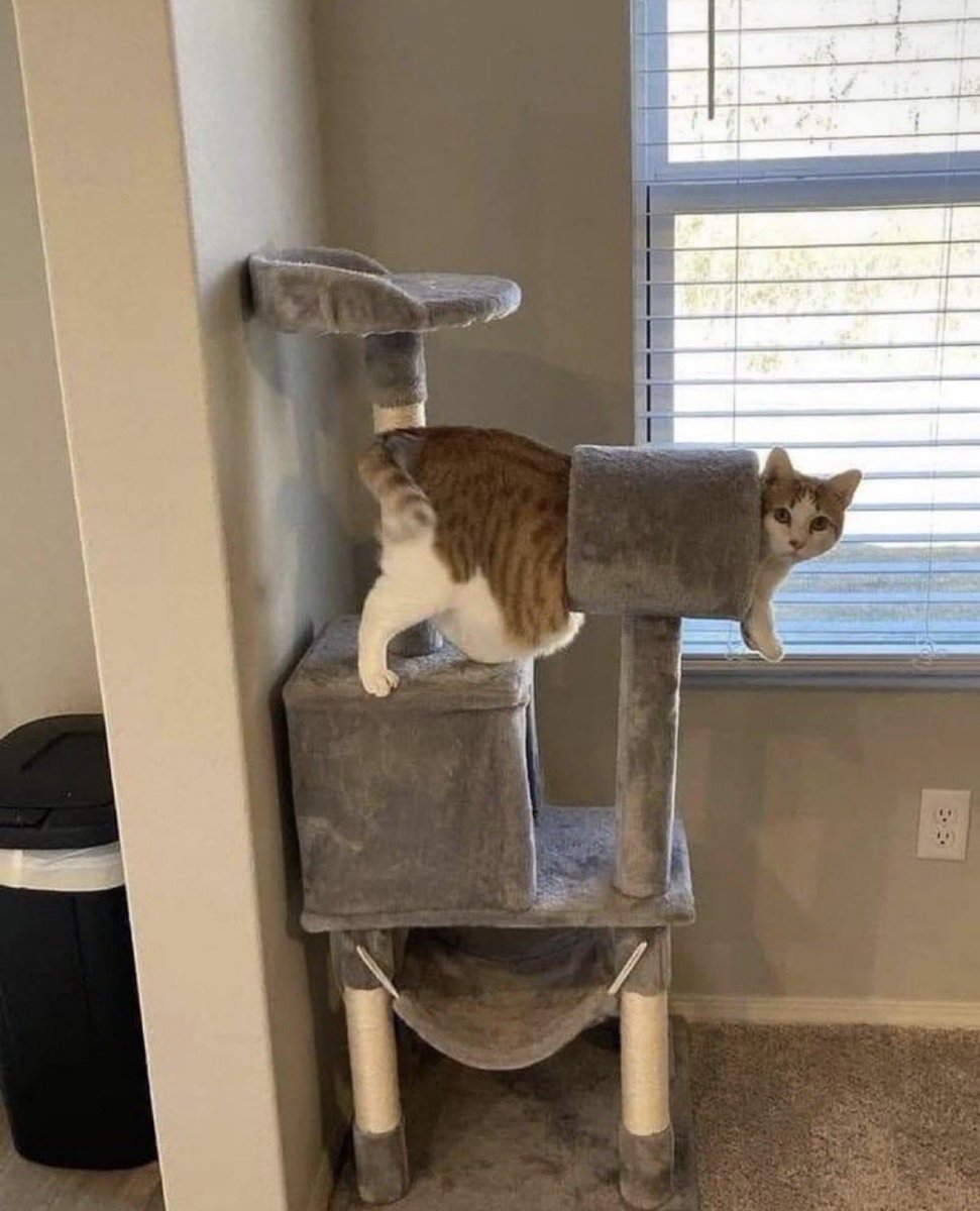 えっと、どうしたらいいですか