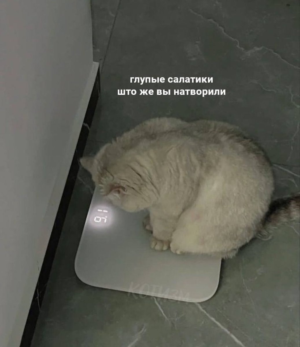 little satana tweet media