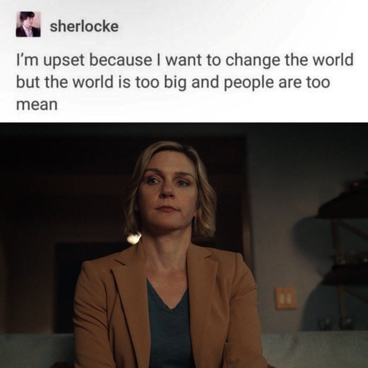 jackiesturka's tweet image. carol sturka hero's journey