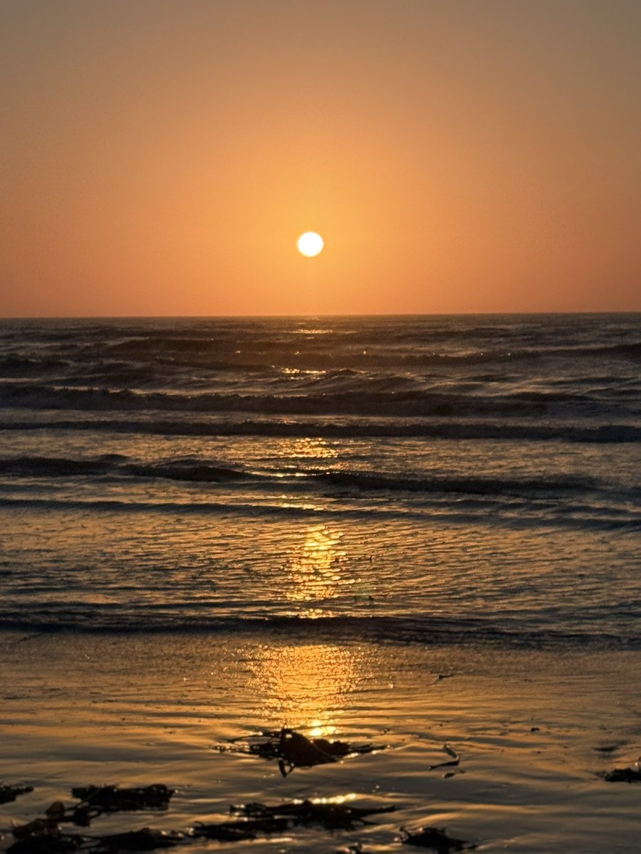 Manish Kapur tweet media