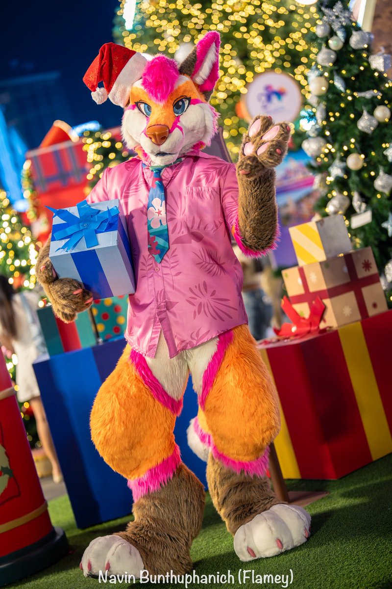 🦊 Kiyochii Thefox ✨ tweet media