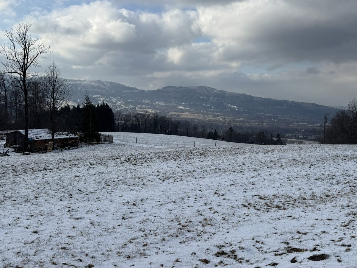 Jan Světlík tweet media