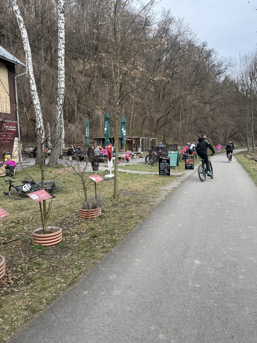 Jan Světlík tweet media