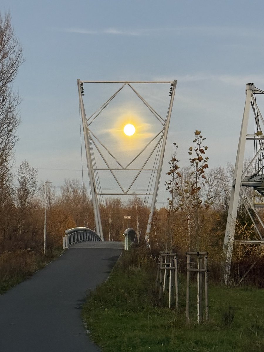 Jan Světlík tweet media