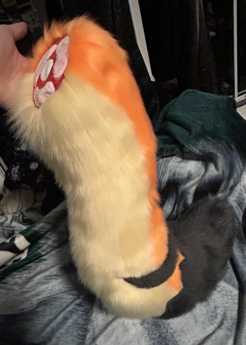 squibbz0's tweet photo. Heres the tail for the Rusti fursuit premade!!! The tail features a cartoon cutaway gore end, a hidden belt loop, and is weighted at the end for some extra wag! #furry #fursuit #fursuitmaker #fursuitpremade https://t.co/N7OiHelwDK