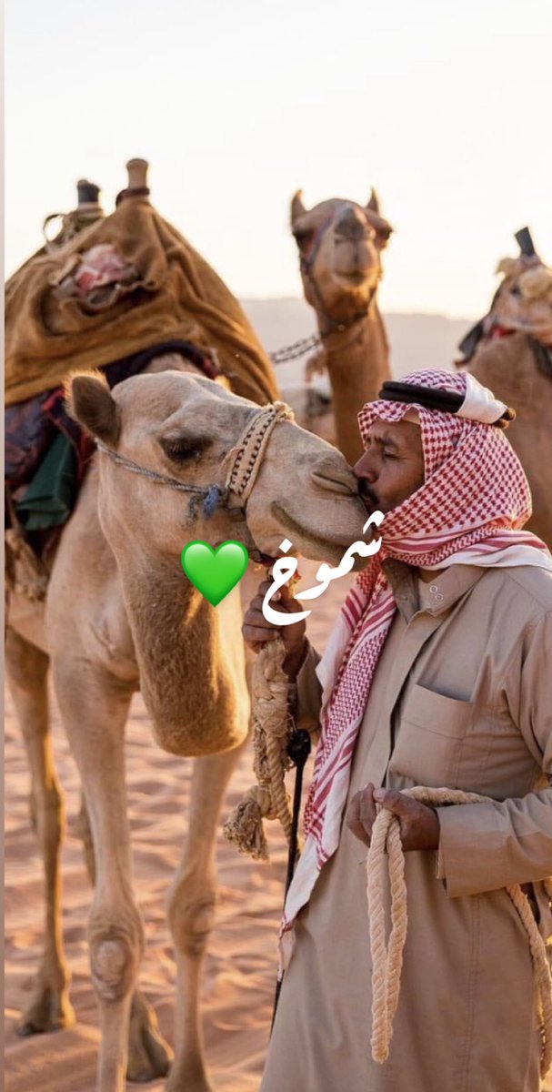 <a href="/Sahraachannel/">قناة الصحراء</a> الاجابة :

 ____________ 💚ريمات 💚___________

🐪🐪🐪
🐪🐪
🐪

#مجلس_الصياهد 
#منقية_النائلات 
#مهرجان_الملك_عبدالعزيز_للإبل10 

🐪🐪🐪🐪
🐪🐪
🐪

اللهم صل وسلم وبارك على نبينا محمد 🌱

الإجابة:
                 _________ 🐪ريـــمــات 🐪________

.

.

.

#مجلس_الصياهد