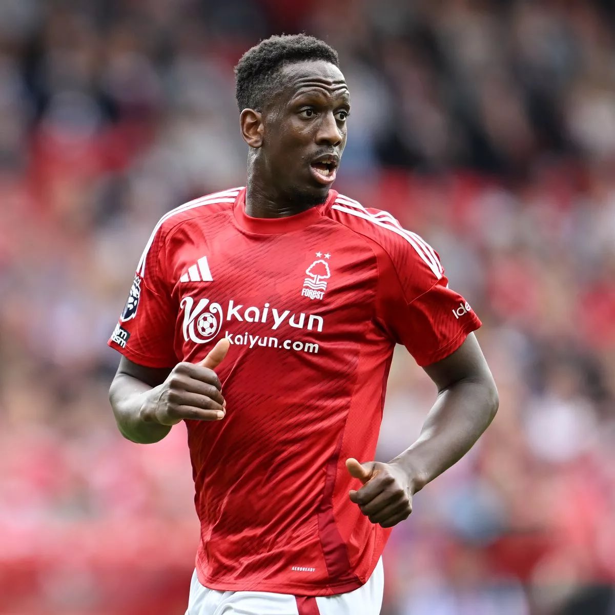 Talking Forest tweet media