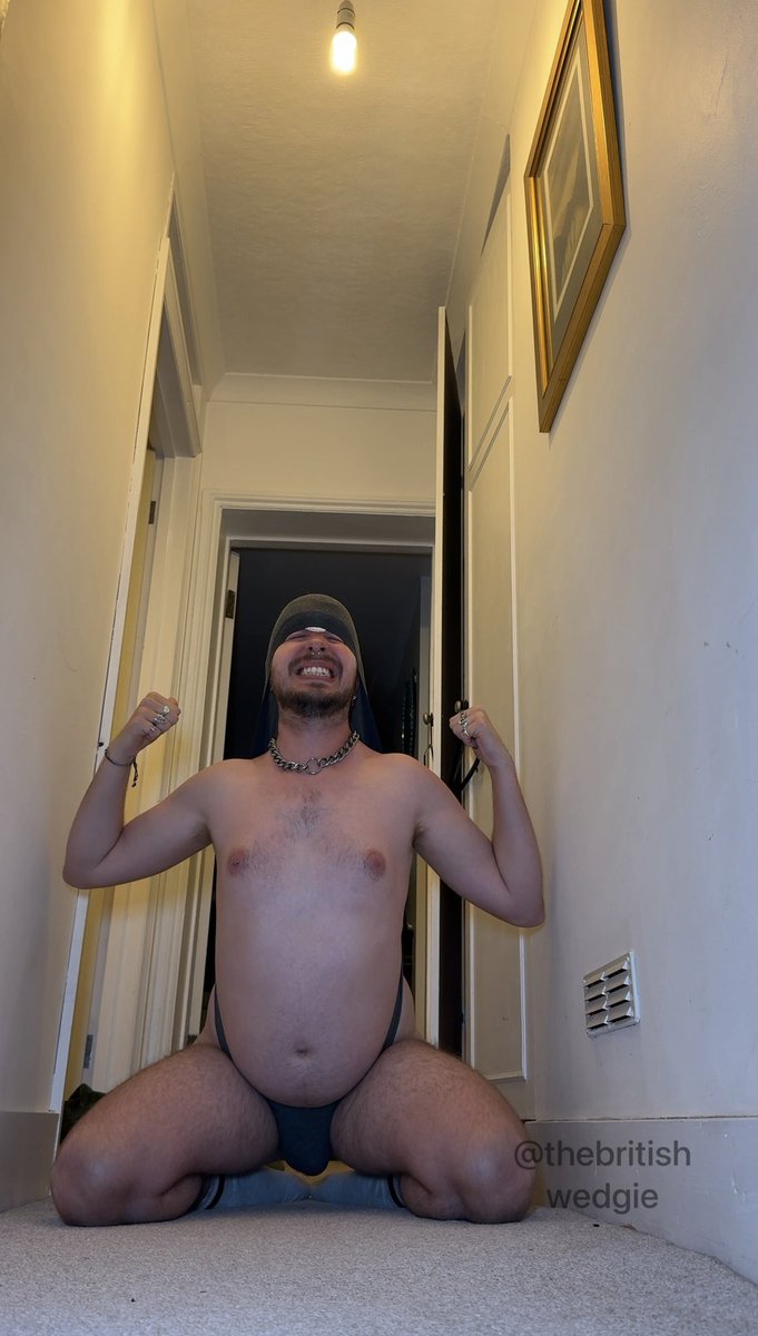 Britishwedgiecub tweet media