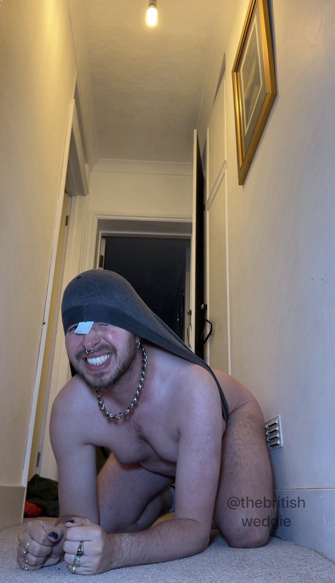 Britishwedgiecub tweet media