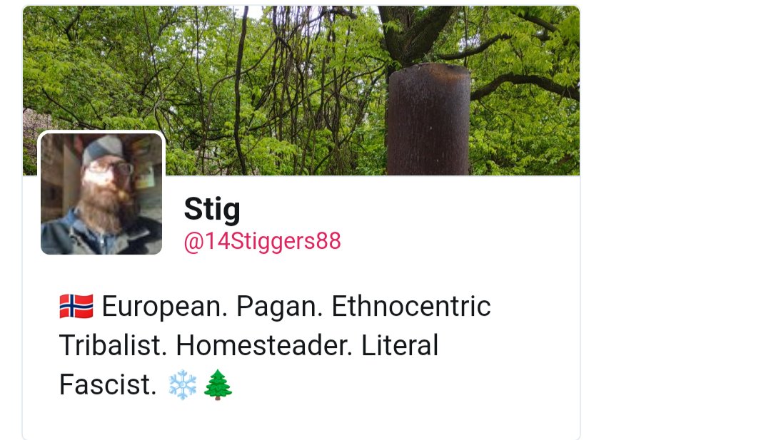 Stig Returned tweet media