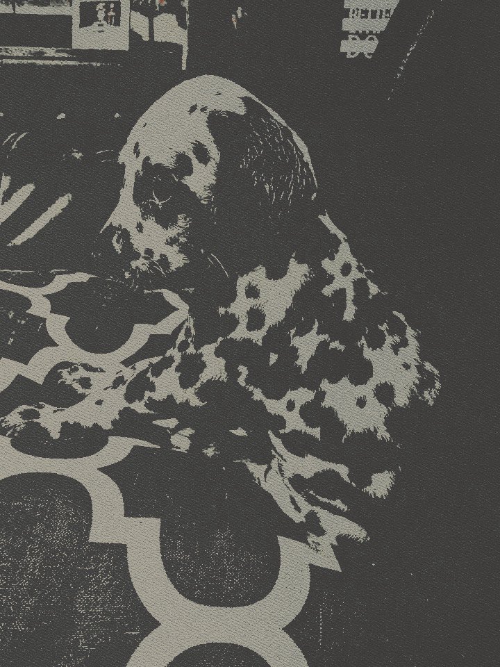 ⠀

milo birkaç saat önce yatağıma işedi ve tüm evde onu ararken bu halde buldum. kızamıyorum çünkü çok masum duruyor. 
⠀