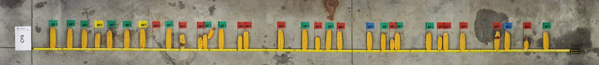 Kent Higerd tweet media