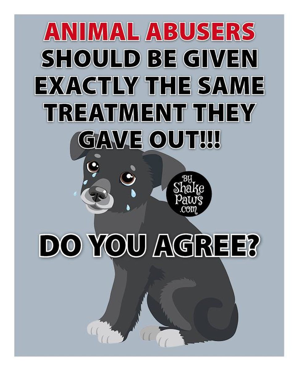 The Four Hearts (@t4hrts) on Twitter photo 