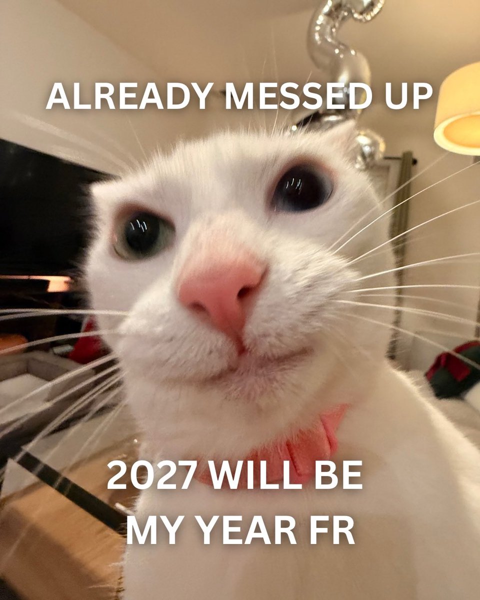 literallymecats's tweet image. 