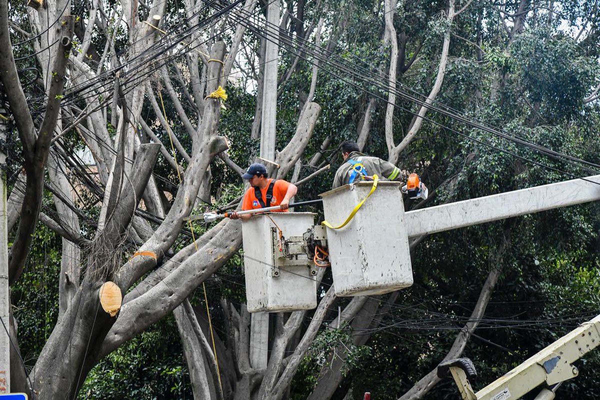Alcaldía de Benito Juárez tweet media