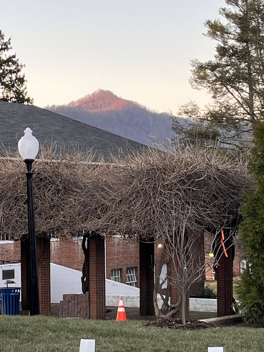 Tony Floyd tweet media