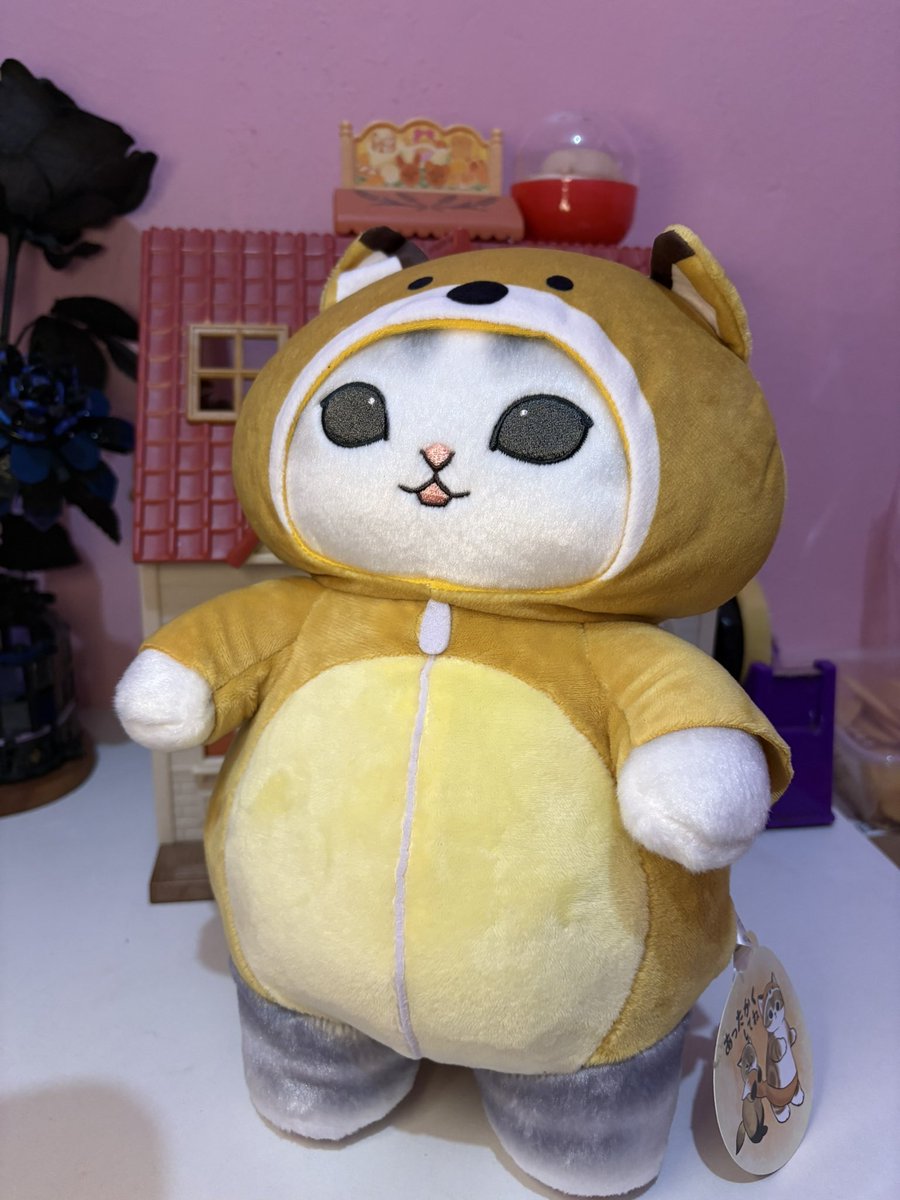 Crystaljun82575's tweet photo. WTS Mofusand Plushie (30 cm) Original Japan
🏷️ 300k (negotiable)
Bisa fullpay/splitpay 🍊 https://t.co/ZAXLPtuexG
