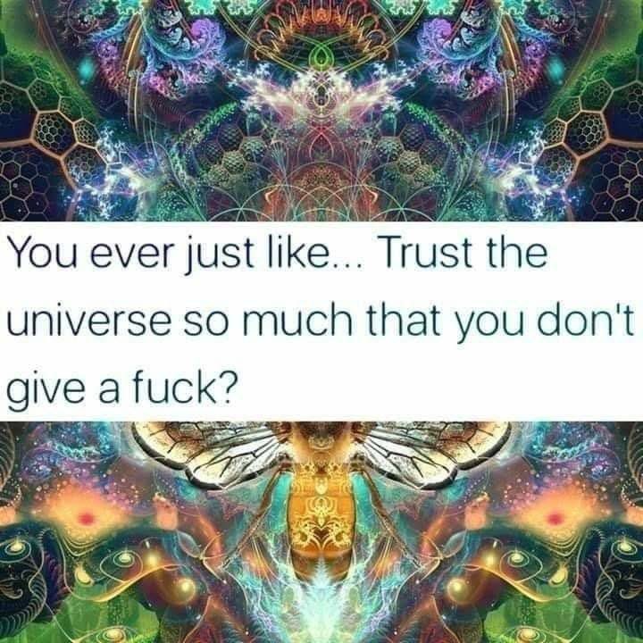 maximumpain333's tweet image. Have you?