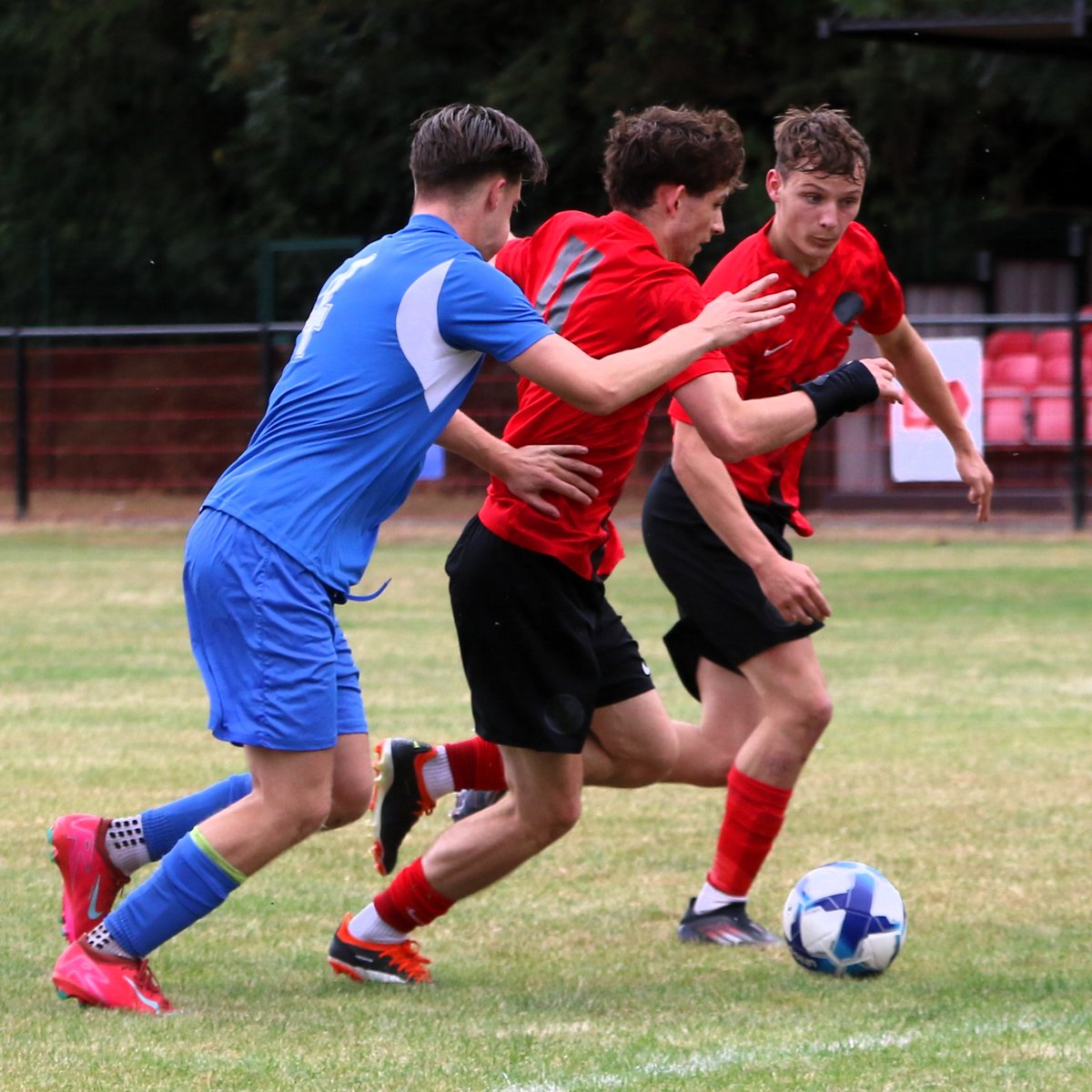 Rob Campion tweet media