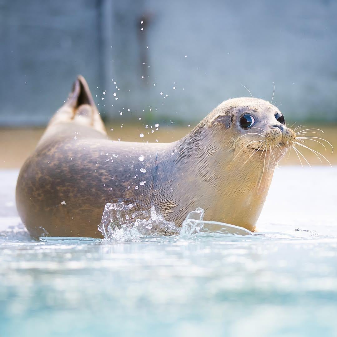 DewEnjoyer's tweet image. How's he so photogenic??