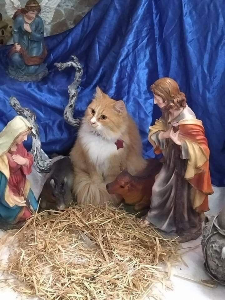 ¿Hasta cuándo se quedan? Si quieren, les voy pidiendo un taxi.