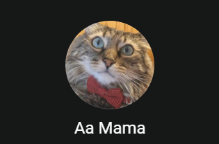 wildnimue's tweet image. Mi madre se ha puesto esta imagen de perfil en Whatsapp pero SÓLO a Nelu