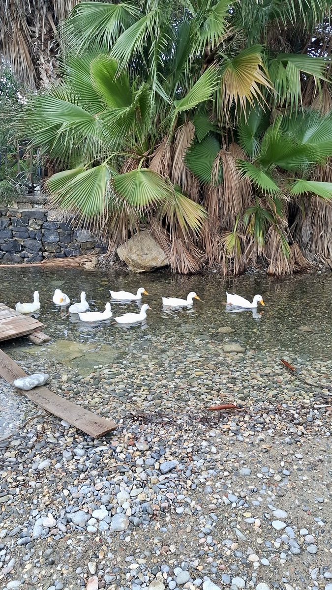 Metamorfoz sadece böceklere özgü değildir.
Kafka’nın Dönüşüm’ündeki Gregor Samsa,
dönüşümün çöküşe de gidebileceğini gösterir.

Ama dönüşüm tek yönlü değildir:
Hem insan hem dünya,
yoksulluğun, cehaletin ve güvensizliğin içinden
daha insanî bir hayata doğru
metamorfoz geçirebilir