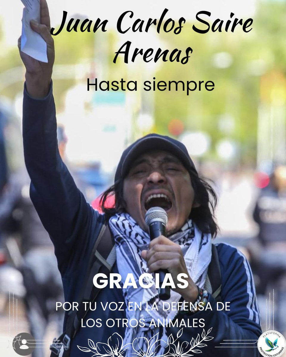 Con profunda tristeza despedimos a Juan Carlos Saire Arenas de <a href="/LaGalaxiaVerde/">Galaxia Verde (derechos animales)</a> . Defensor incansable de los otros animales, su voz denunció las injusticias que ellos sufren. Su legado nos inspira a seguir luchando. Descansa en paz 💚

#activismovegano #antiespecismo