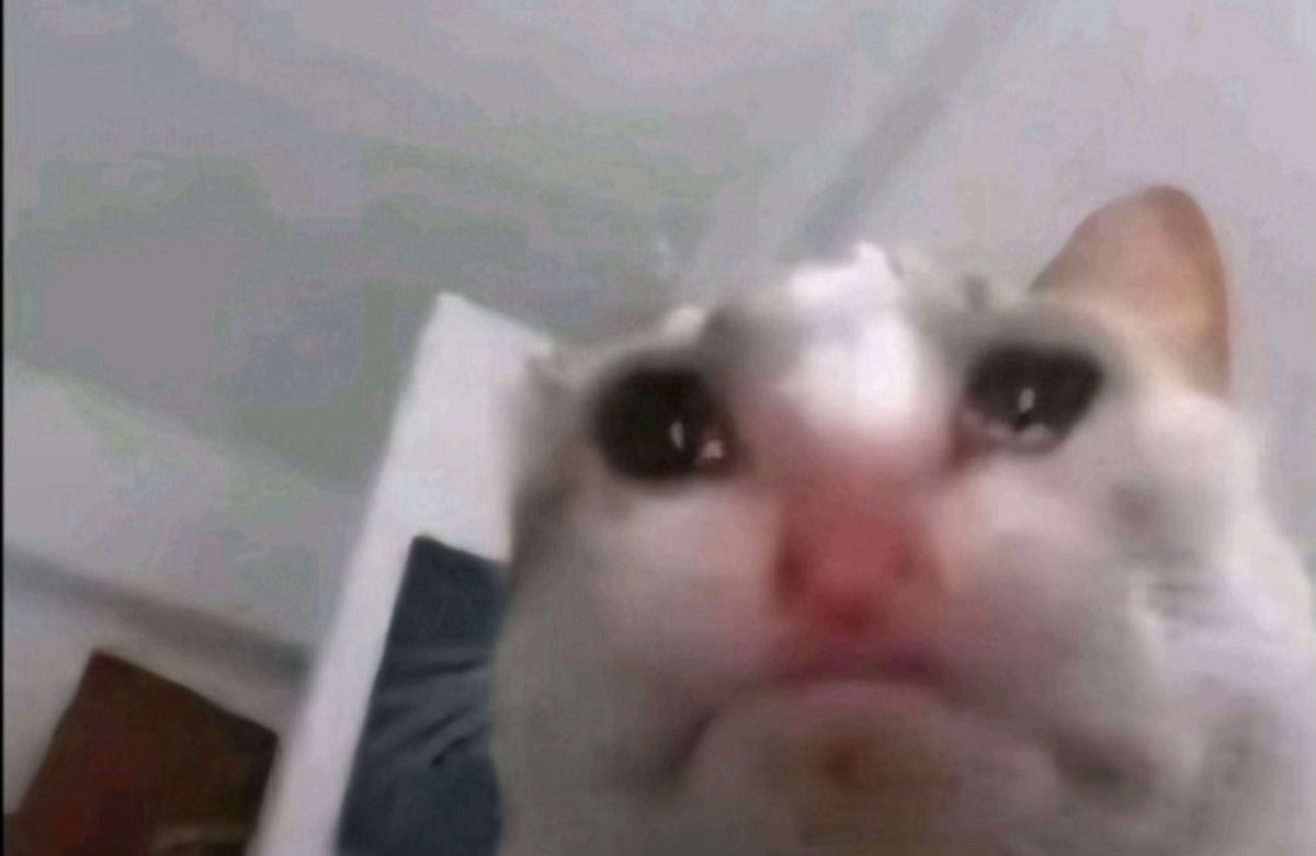 Aisha.Artz tweet media