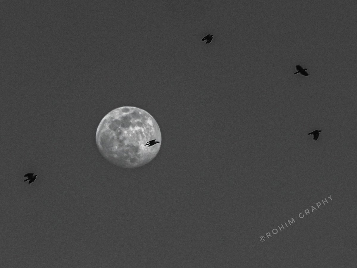 RohimUllahRP's tweet photo. The moon on the first day of New Year, 2026
#Moon
#NewYearFirstDay
#NewYearMoon
#NewYear2026
Photo: @RohimUllahRP https://t.co/u8jOHHprL7