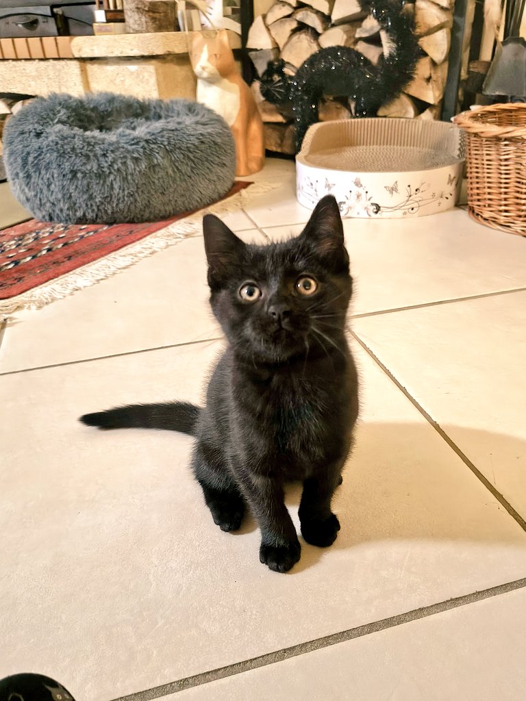 由希@篭手切は最高 (@yuki84yuki) / Posts / X