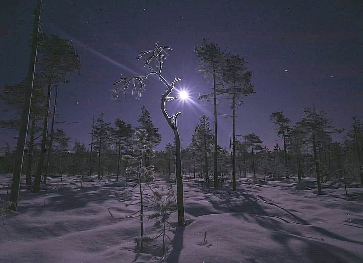 PHatunen's tweet image. Hyvää illanjatkoa ja yötä.
Kuva 2015 Vaala.
#moon #winternight #snow