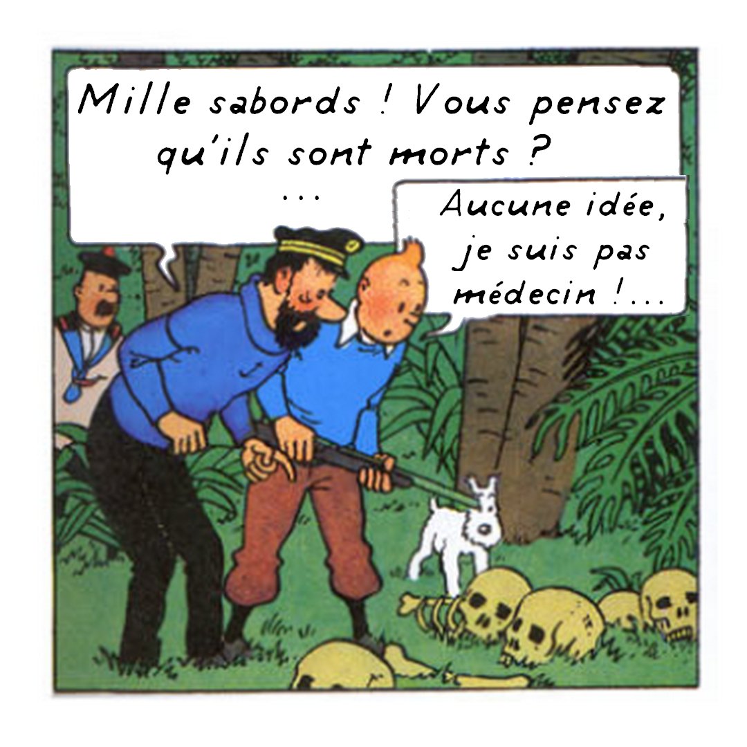 Debilotnik's tweet image. Nos génies en action 🧠🥴
#tintin