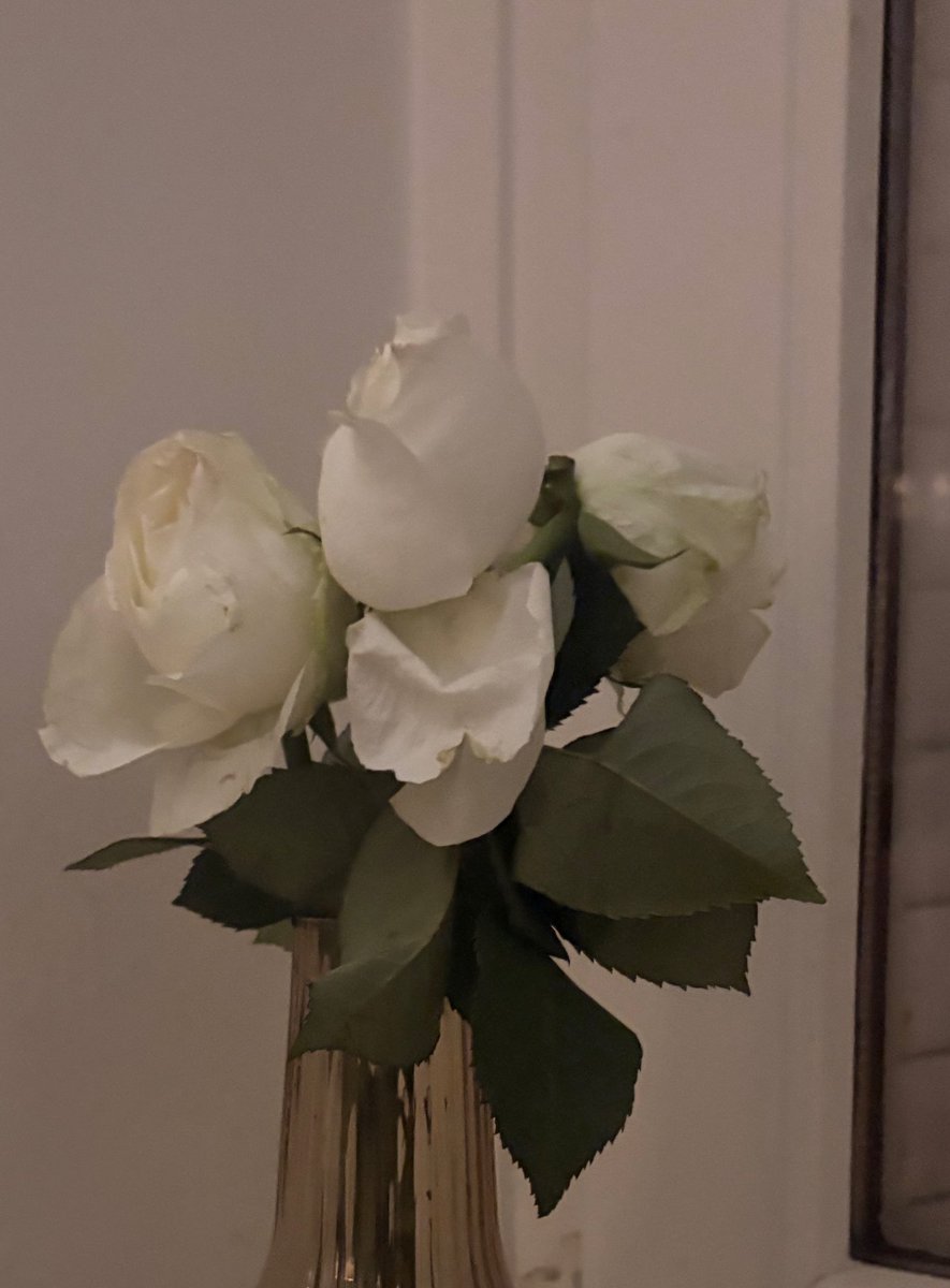 camillee111's tweet image. 