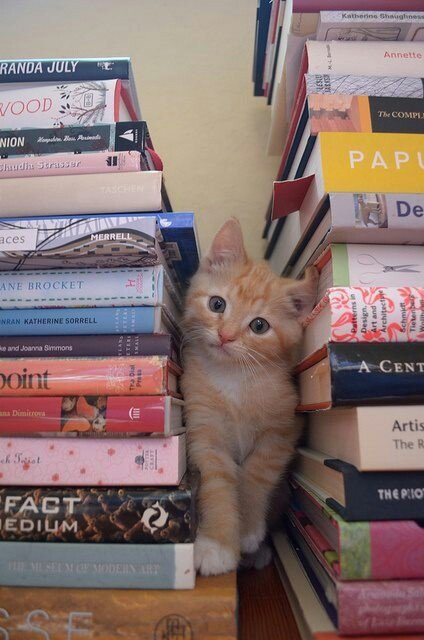 fefejenii's tweet photo. ⋆.˚books i've read in 2026
   ➴ a thread

"Mais um livro, depois paro. Mais um fólio, só mais um. Mais uma página, e vou descansar e comer qualquer coisa. Mas havia sempre outra página depois daquela, e outra a seguir, e outro livro à espera por baixo da pilha."- samwell tarly https://t.co/4l6hyJaenT