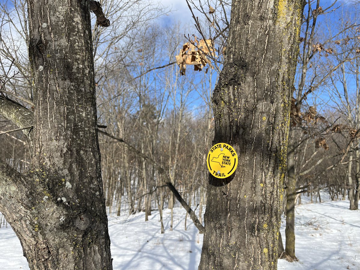 JRCJMU's tweet photo. Wishing you a #HappyNewYear2026. We enjoyed a #firstdayhike @NYstateparks https://t.co/YPLpaVhmux
