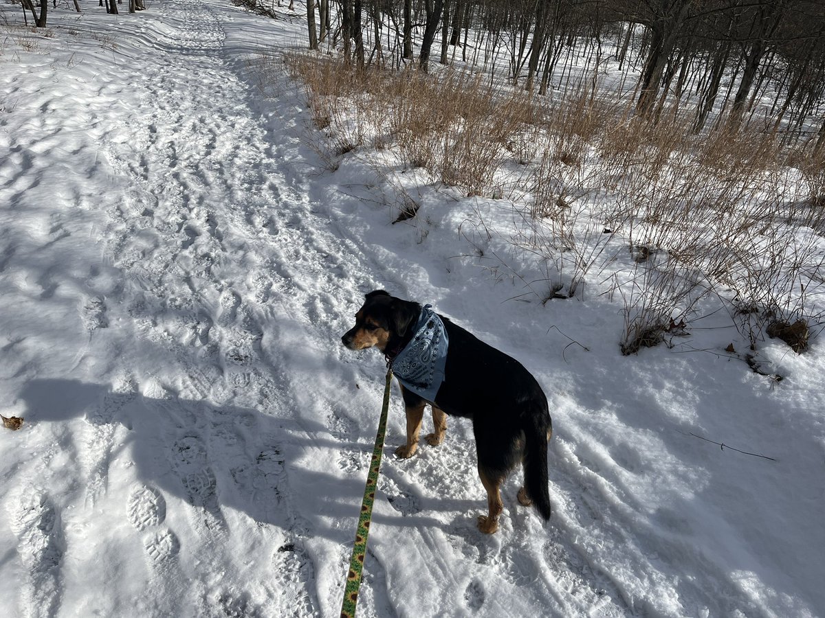 JRCJMU's tweet photo. Wishing you a #HappyNewYear2026. We enjoyed a #firstdayhike @NYstateparks https://t.co/YPLpaVhmux