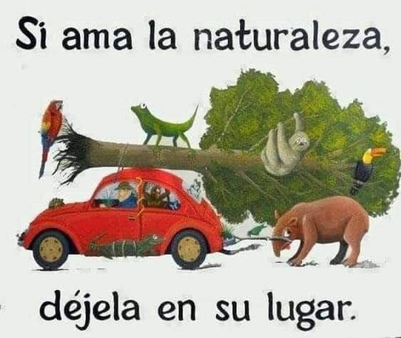 🌿 ¡Amar la naturaleza es dejarla vivir! 🍃