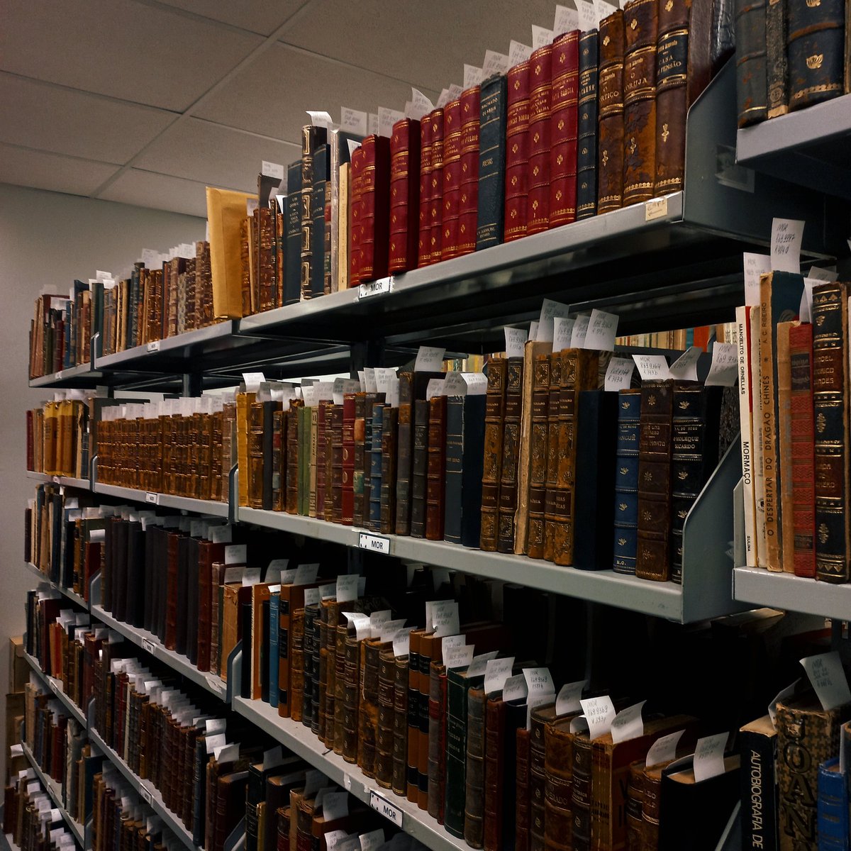 ʙᴇᴀ⁴⁴ VAI VER O BTS tweet media