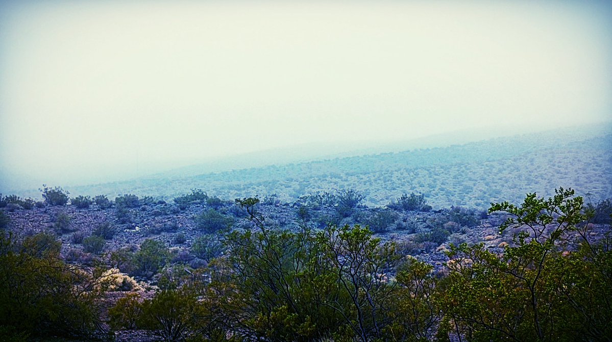 The northern Mojave Desert of California-Nevada is in one of those regions that has received 200% or more of average rainfall for the last few months. Creosote hills shrouded in mist and rain clouds this morning