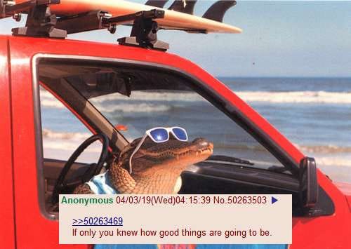 Shotgun Shogun tweet media