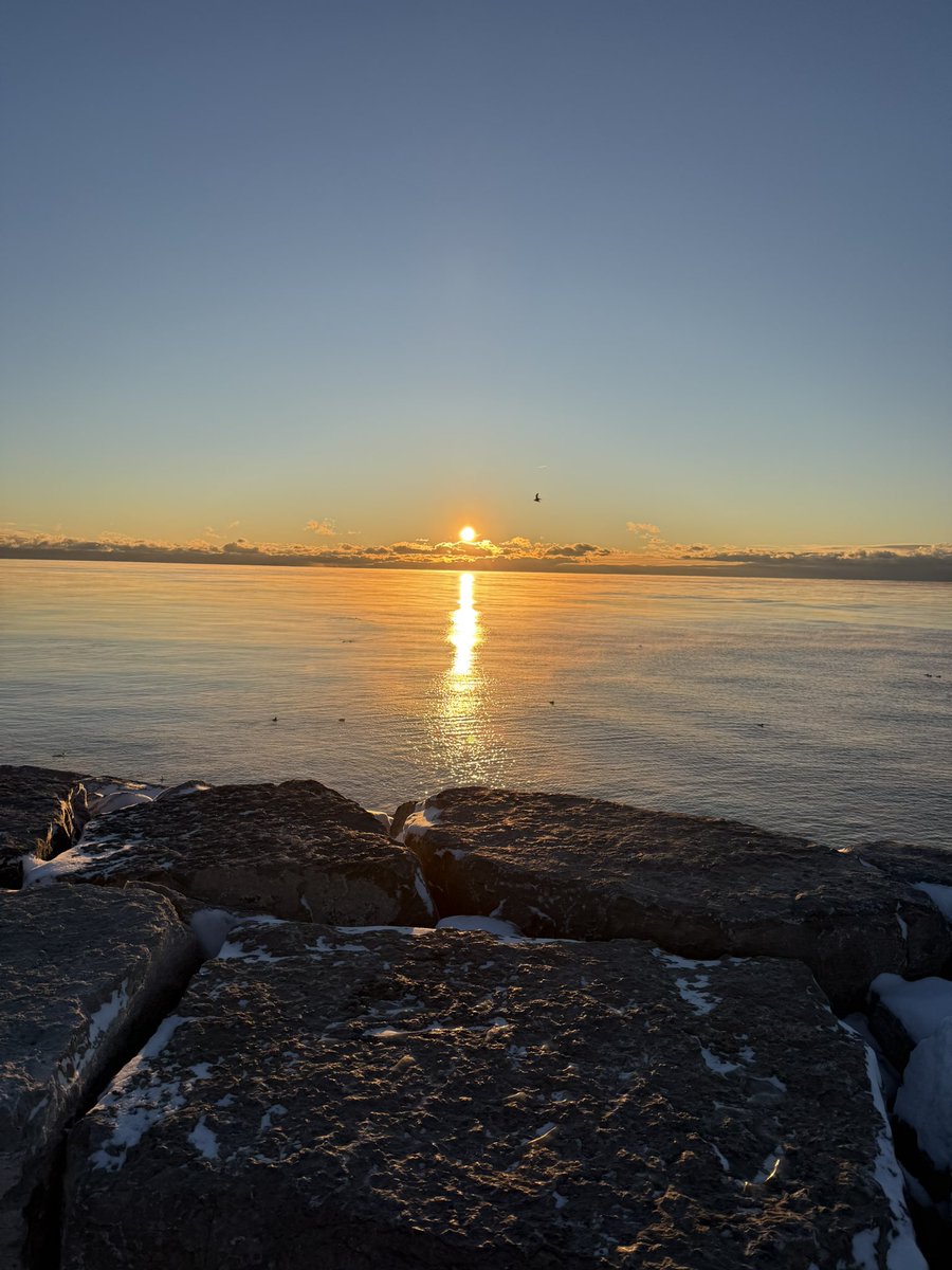 _elsvirtual's tweet image. First hot girl walk of the year 🚶‍♀️