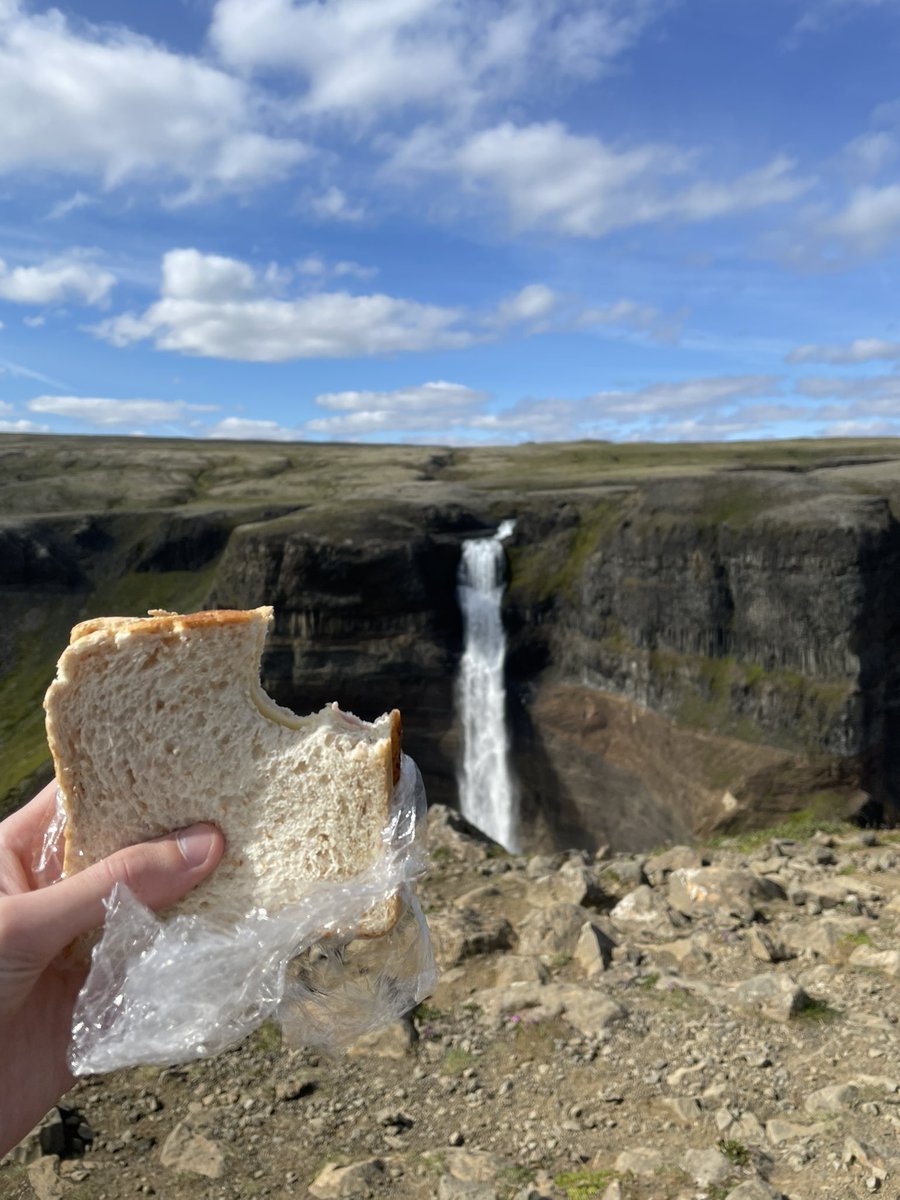 Lewis Roberts tweet media