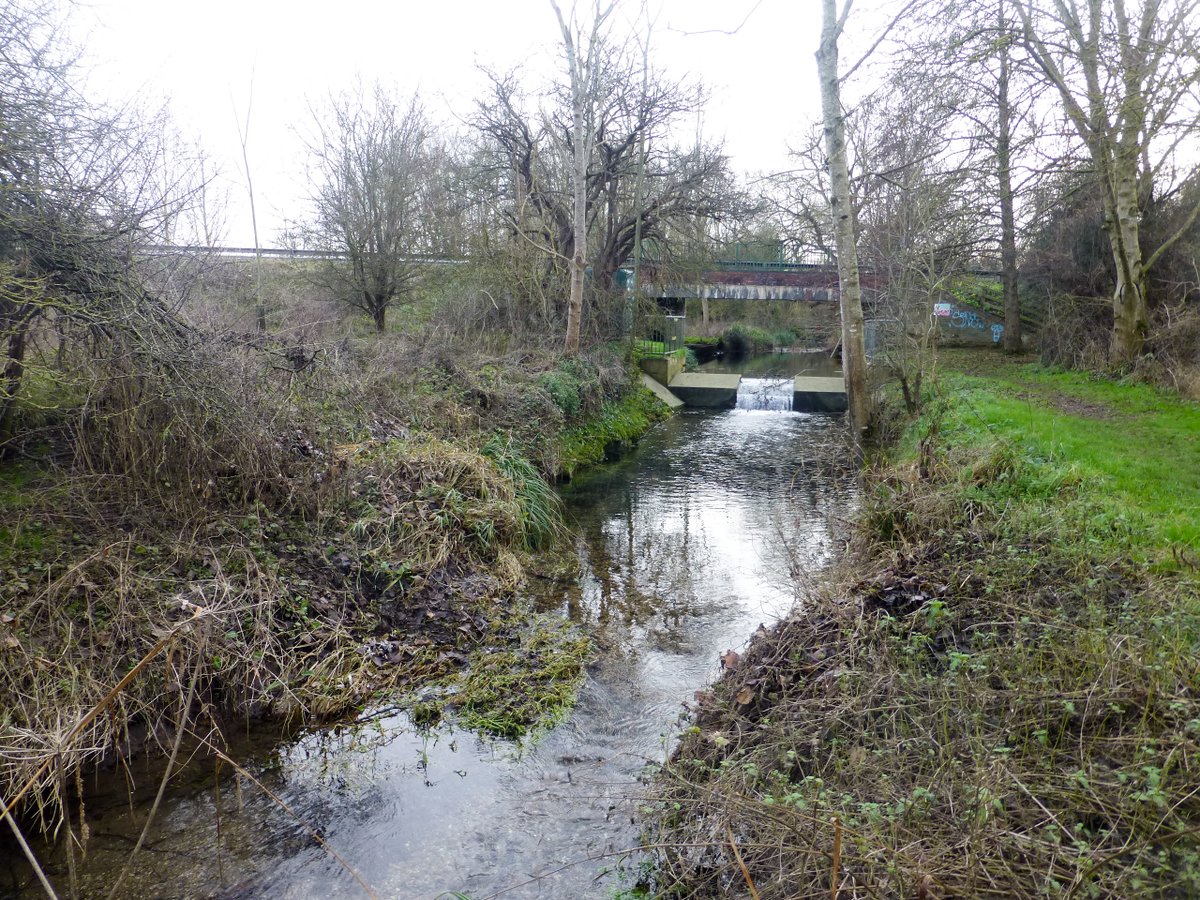 Friends of the River Granta ,FROG tweet media
