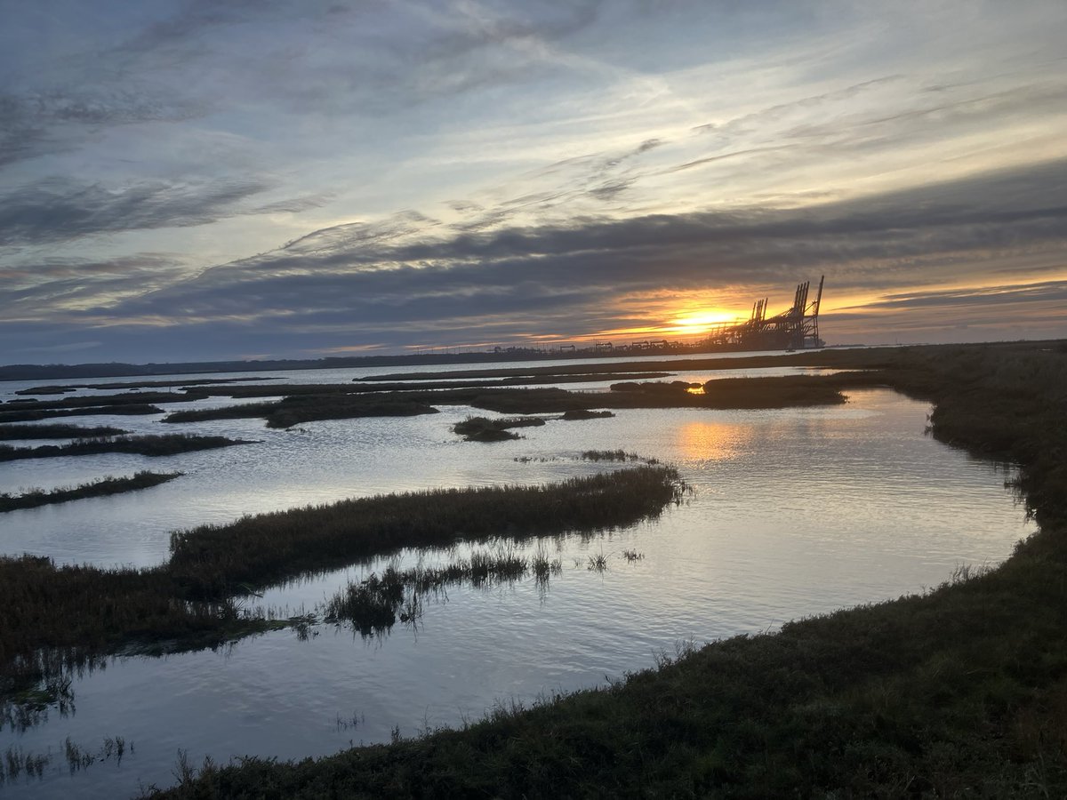 David Walsh tweet media