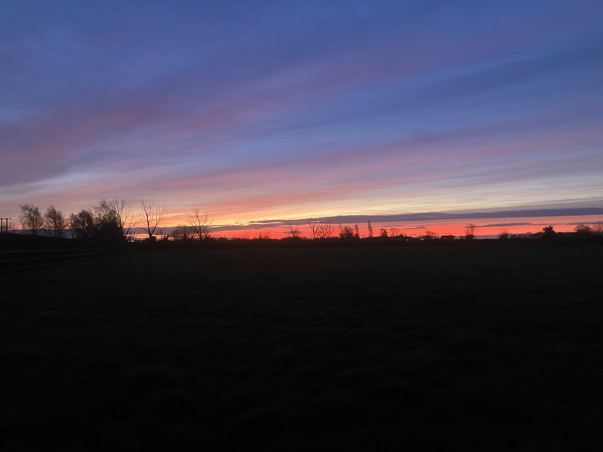 David Walsh tweet media