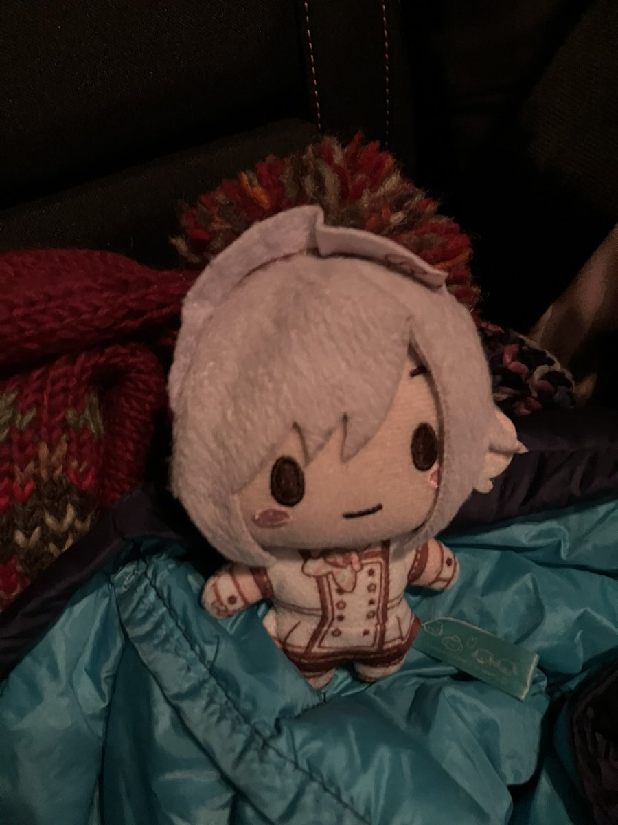 ShihoNui's tweet photo. Happy new year!! Shiho is all cozy ^^ https://t.co/PRZjjQwW2j